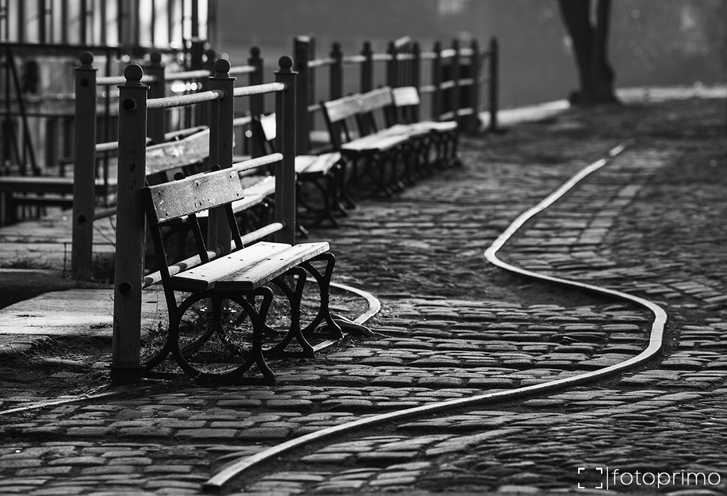 rybi rynek